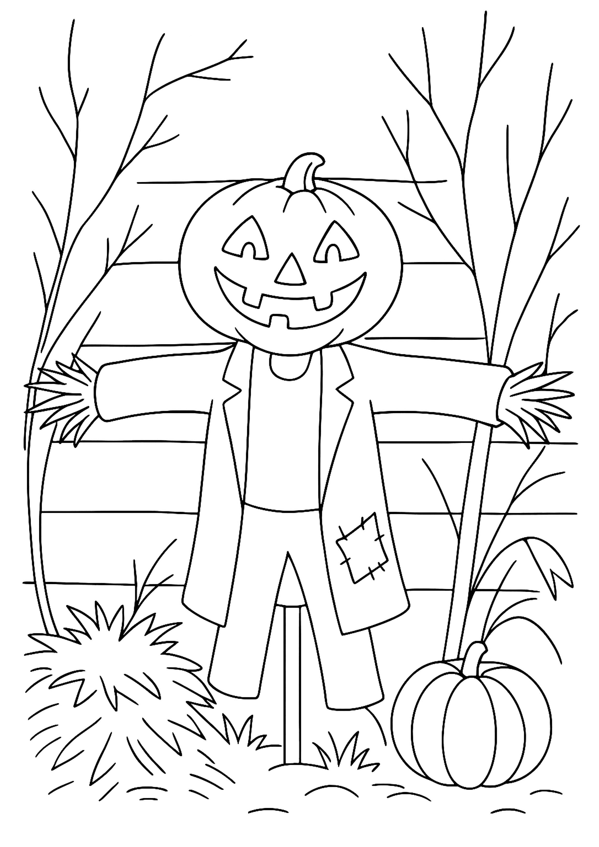 pumpkin -head Scarecrow decor - colouring page