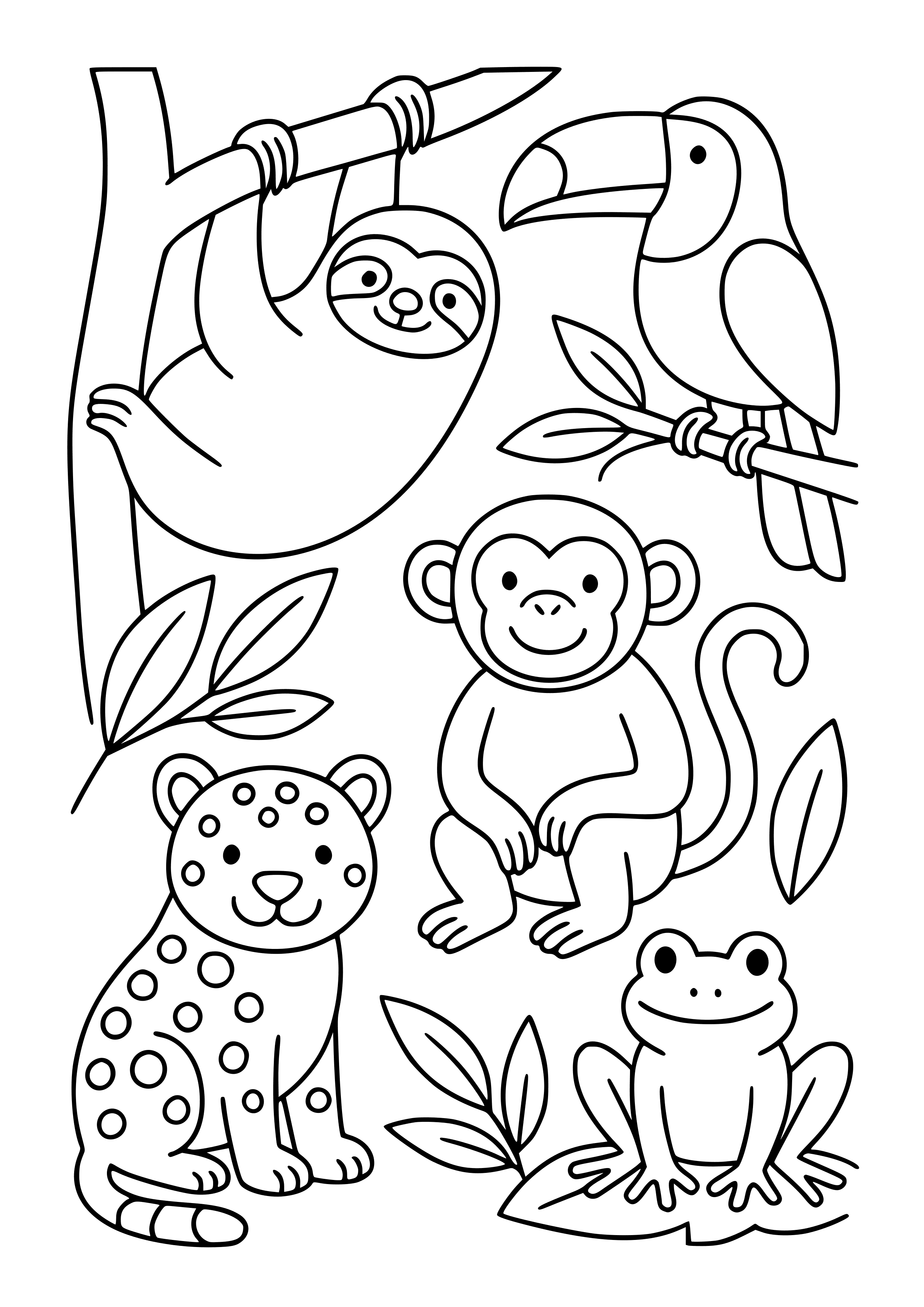 Animals of the Rainforest Coloring Page