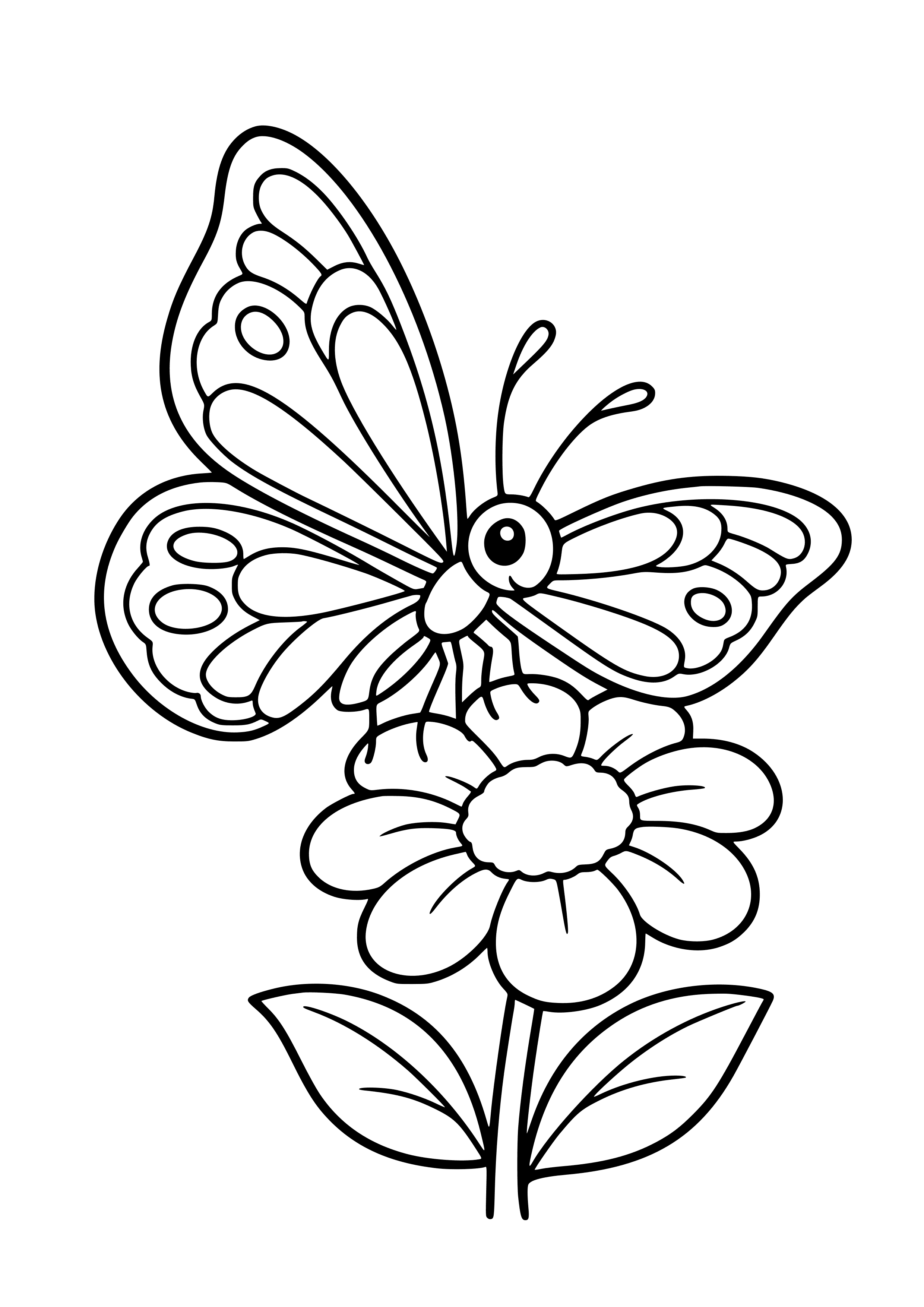 Colorful Butterfly Landing on a Flower Coloring Page