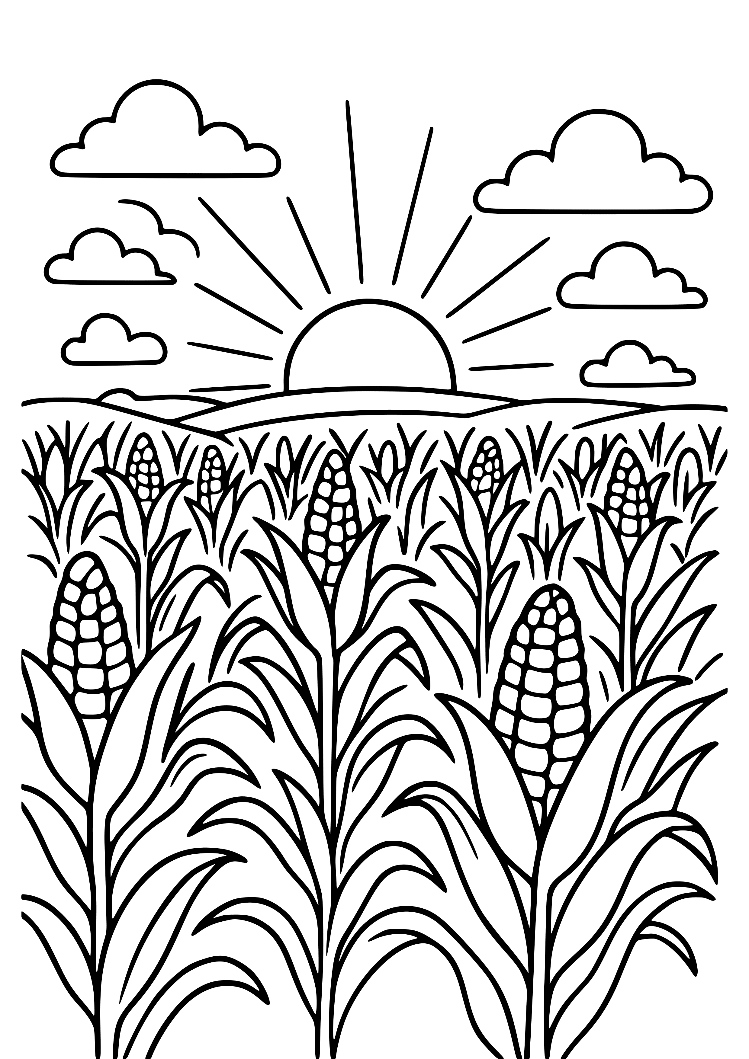 Corn Field with a Sunset Coloring Page
