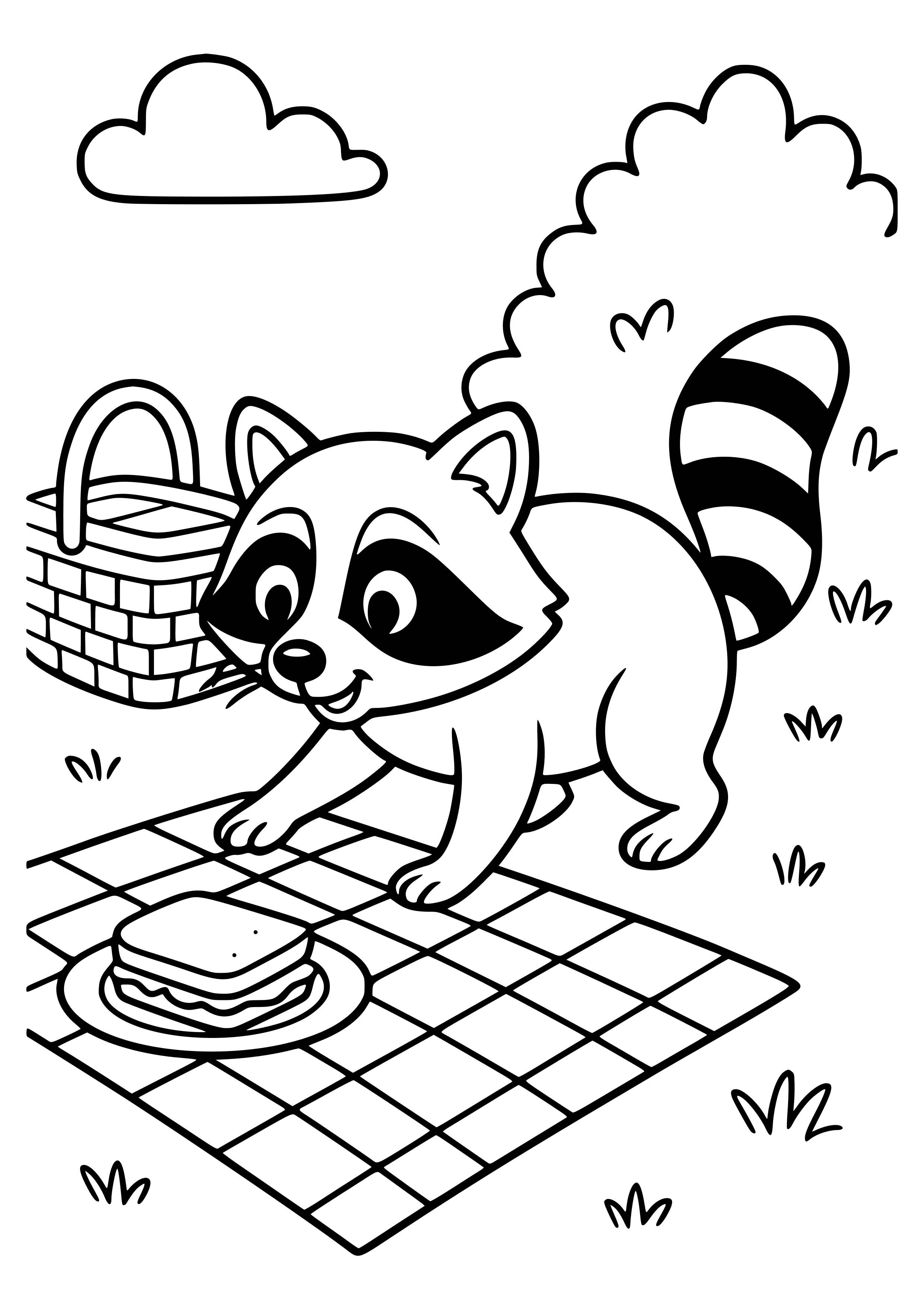 Curious Raccoon Exploring a Picnic Area Coloring Page