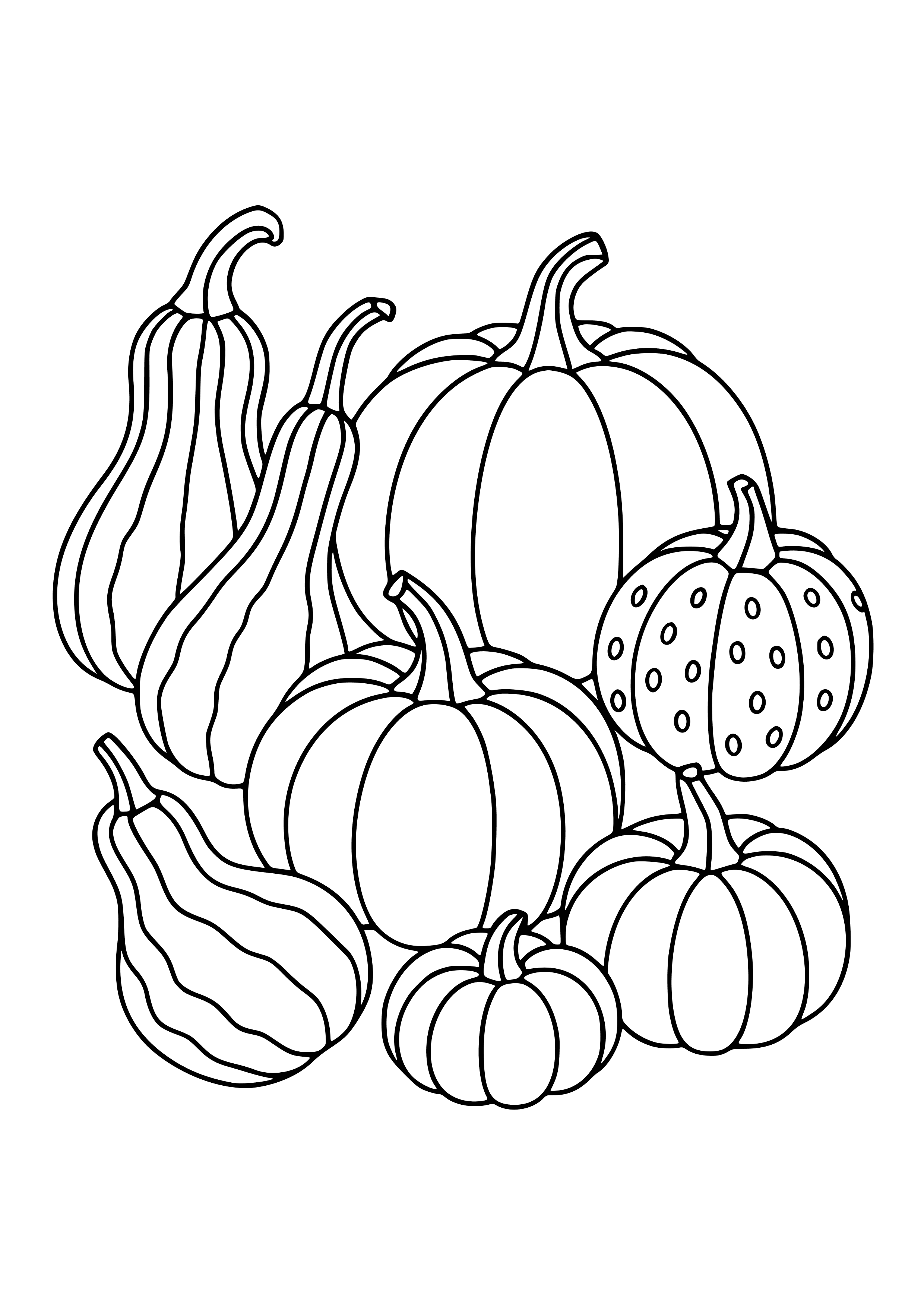 Decorative Gourds and Pumpkins Coloring Page