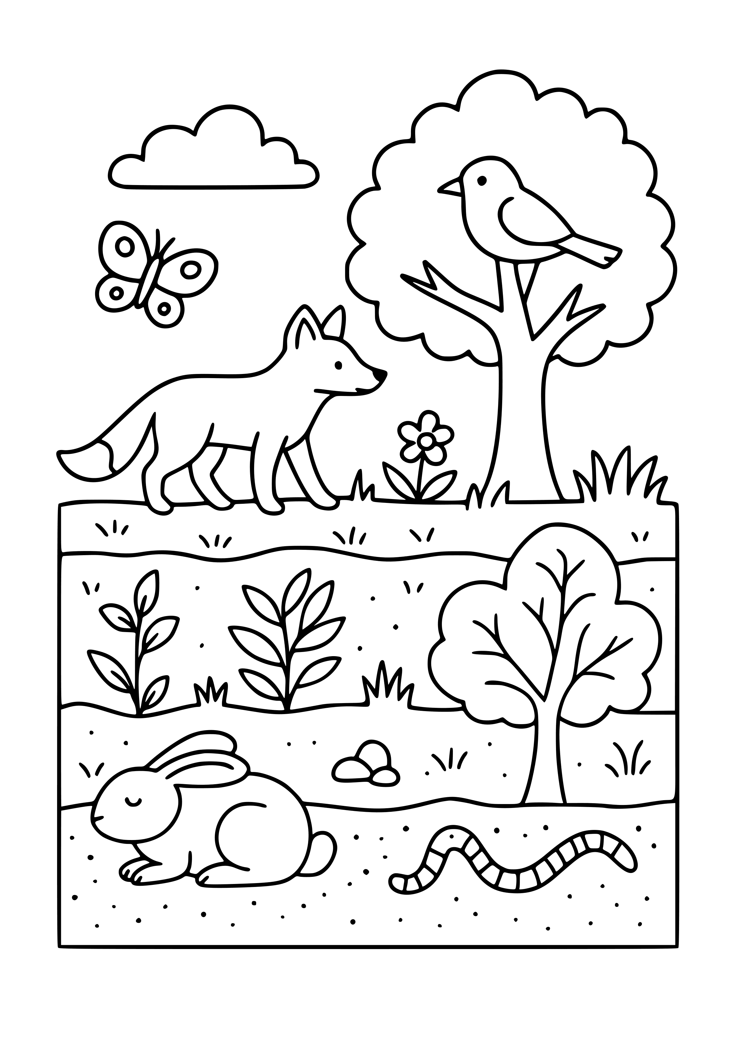 Ecosystem Layers Coloring Page