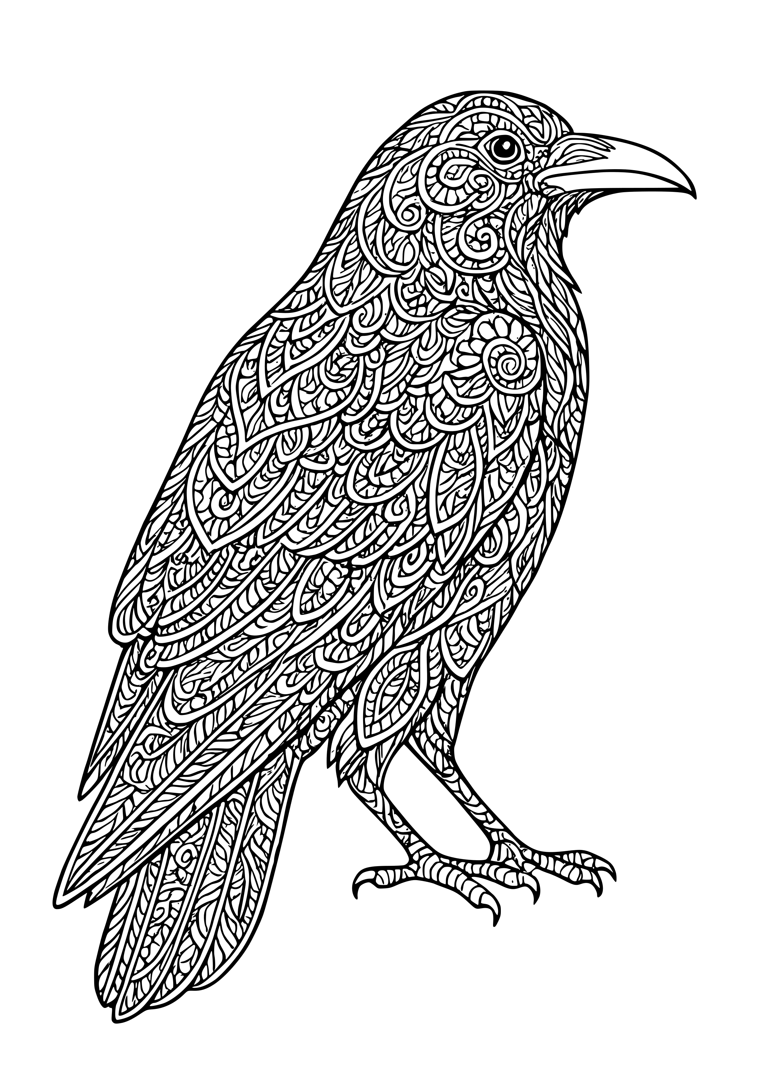 Elegant Raven with Intricate Feather Patterns Coloring Page