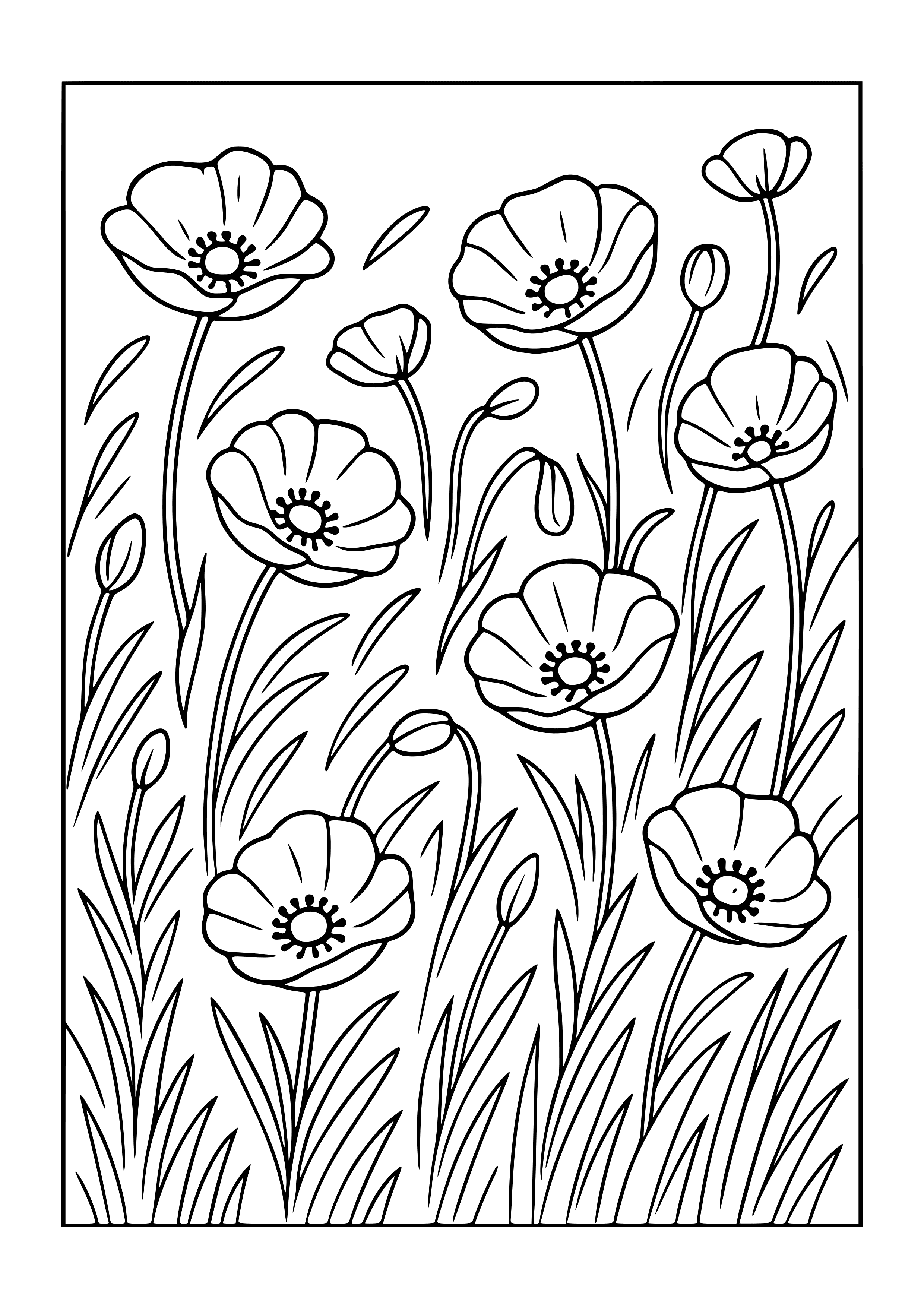 Field of Poppies Swaying Coloring Page