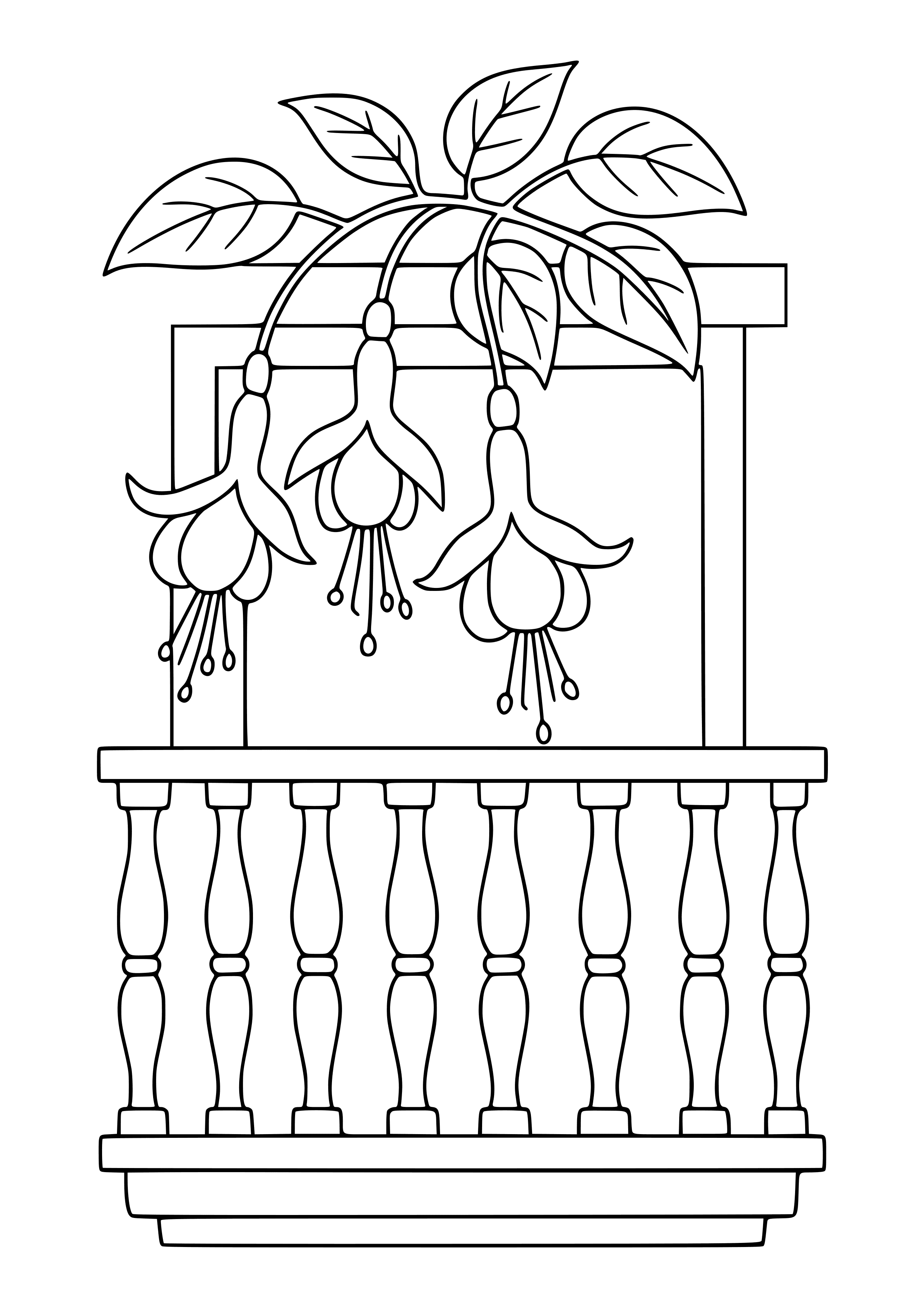 Fuchsia Flowers Hanging From a Balcony Coloring Page