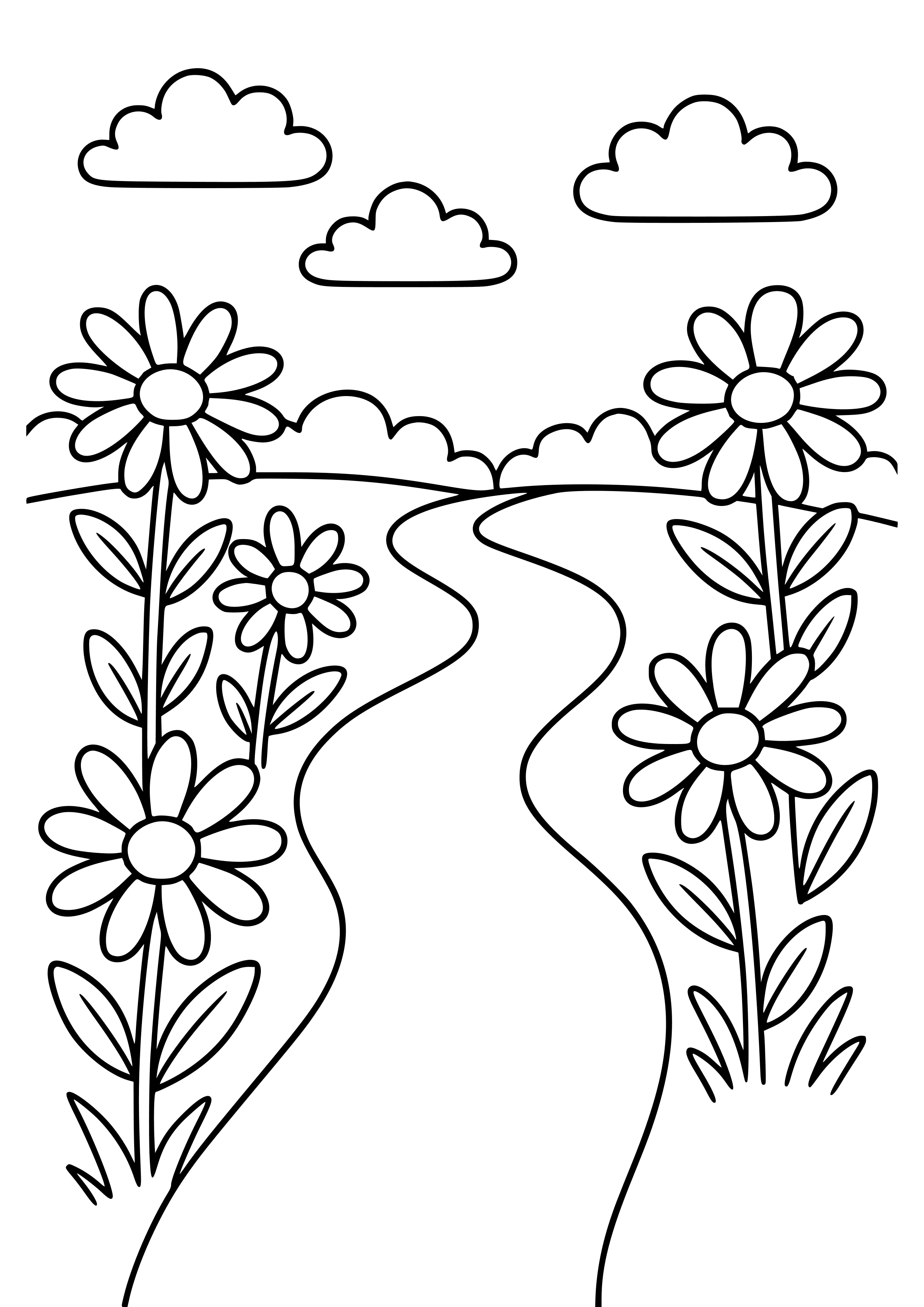 Garden Path Lined with Daisies Coloring Page