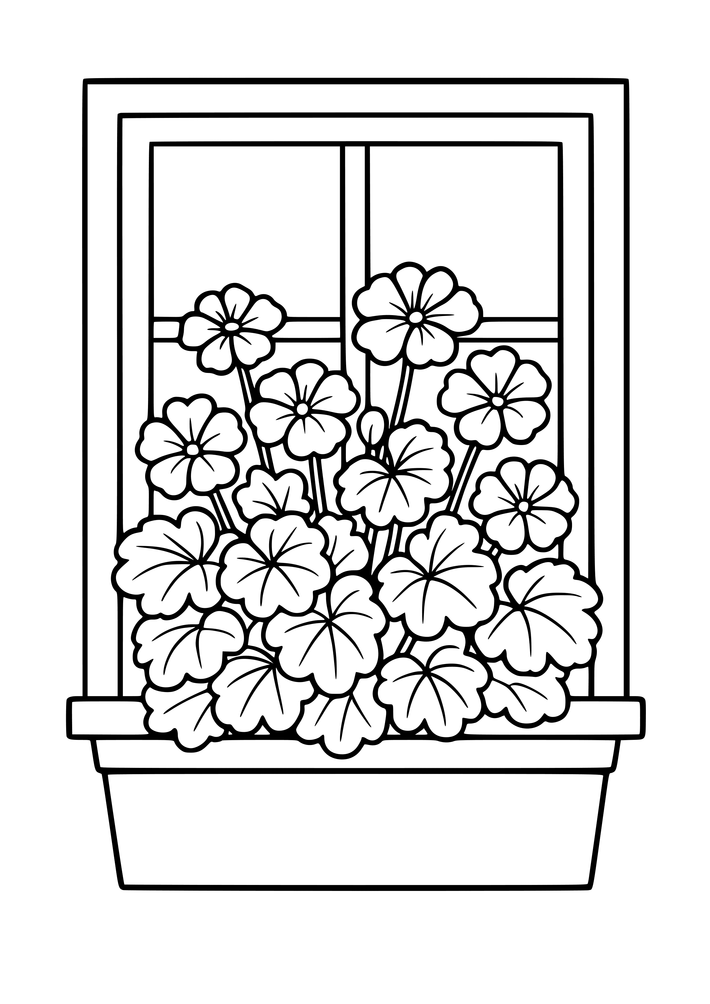 Geraniums in a Window Box Coloring Page