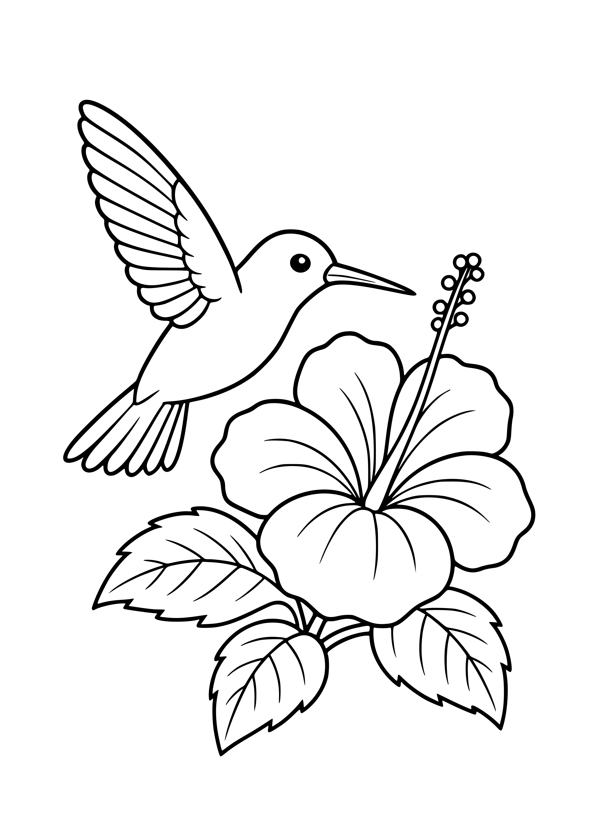 Hummingbird Hovering Over a Hibiscus Coloring Page