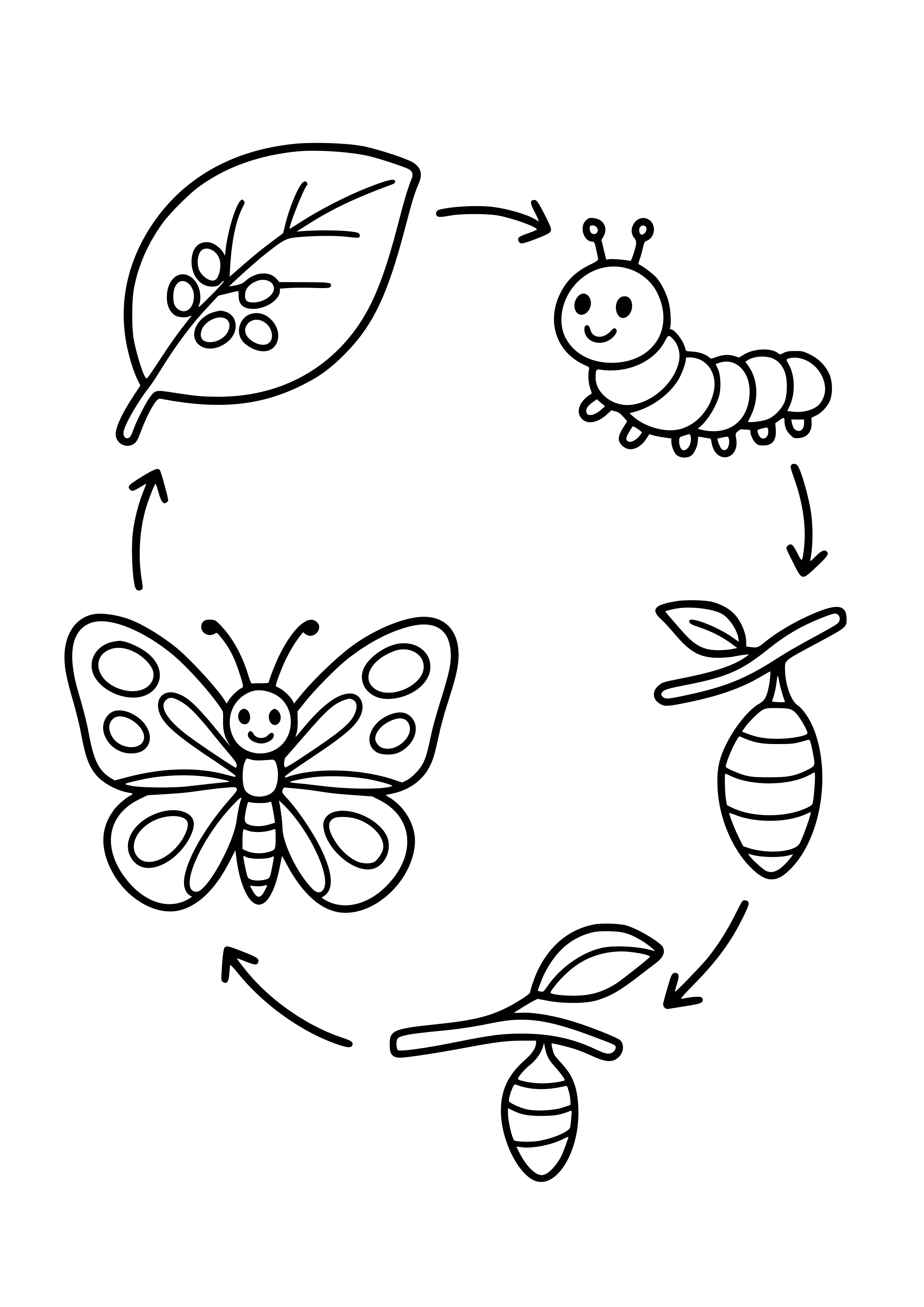Life Cycle of a Butterfly Coloring Page