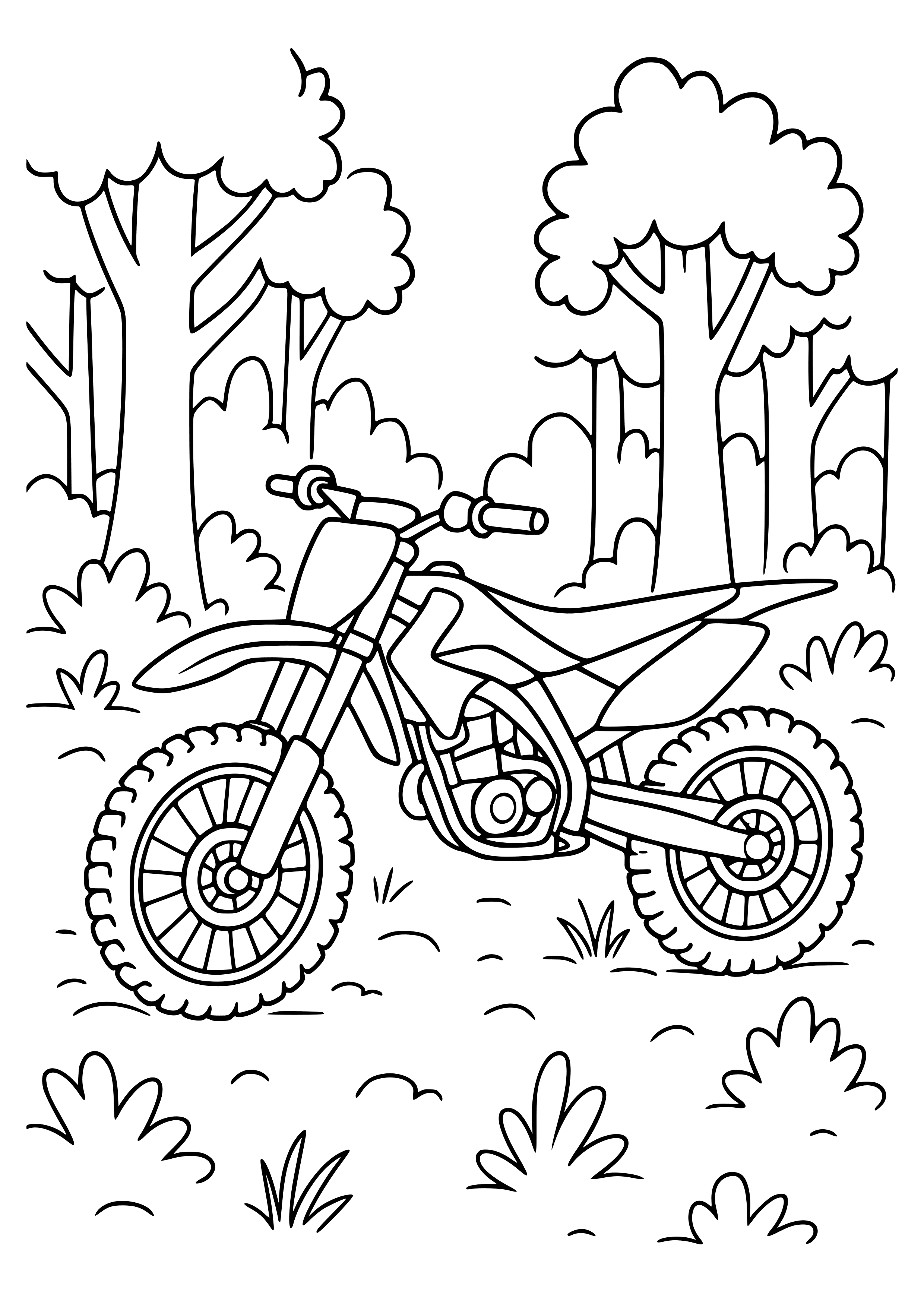 Off-road Motorbike in the Forest Coloring Page