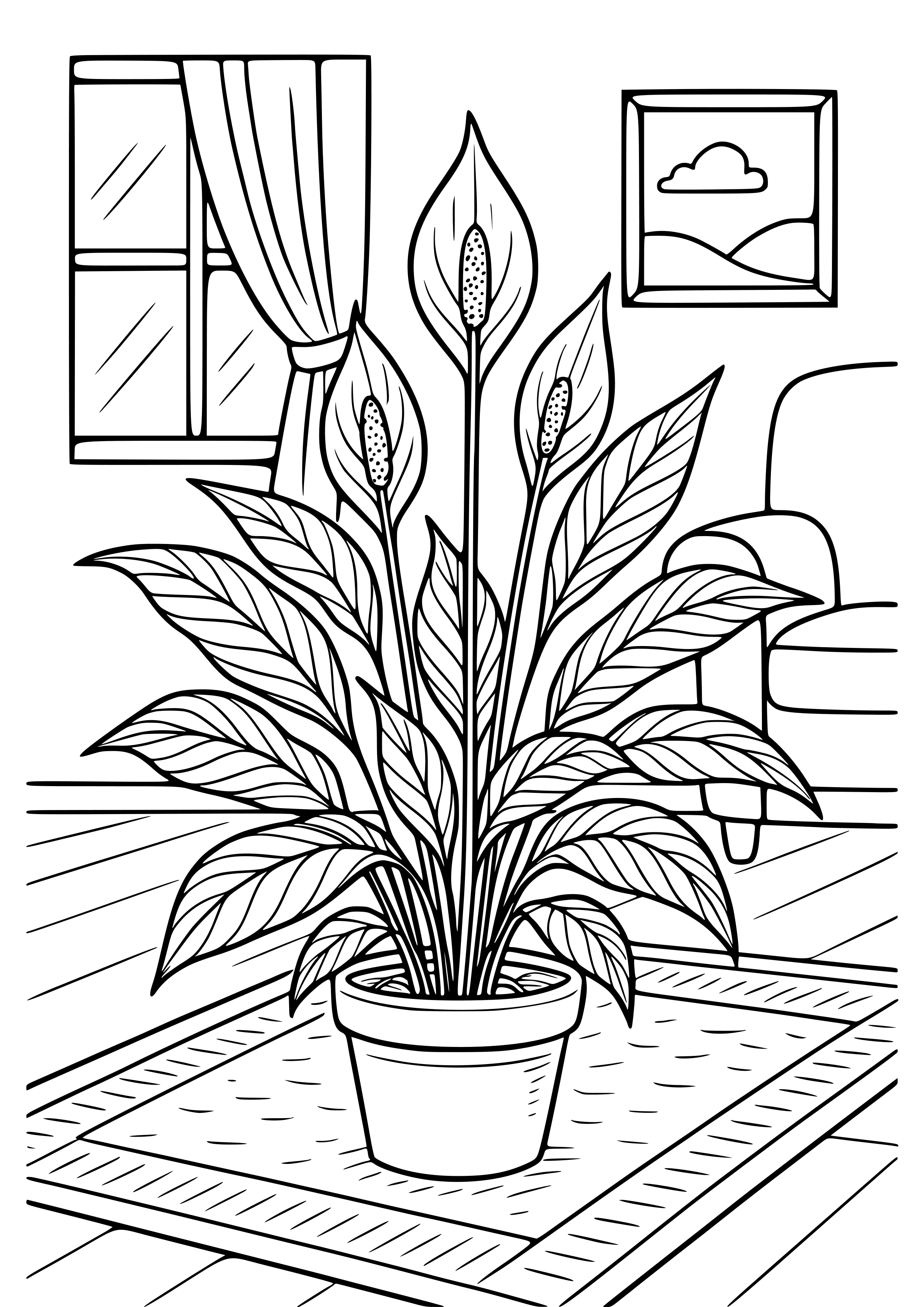 Peace Lilies in a Room Coloring Page
