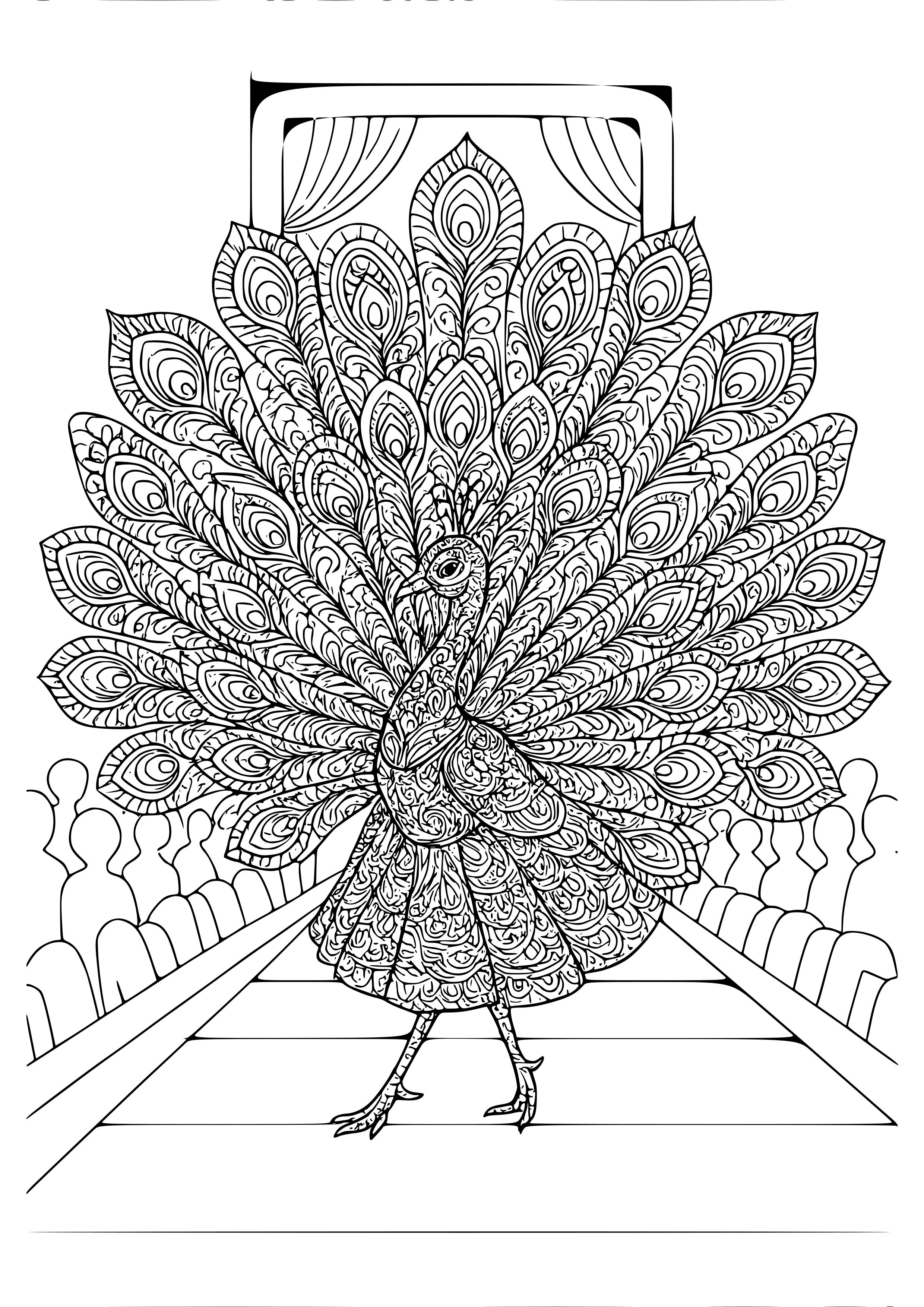 Peacock Showcasing Its Colorful Feathers at a Fashion Show Coloring…