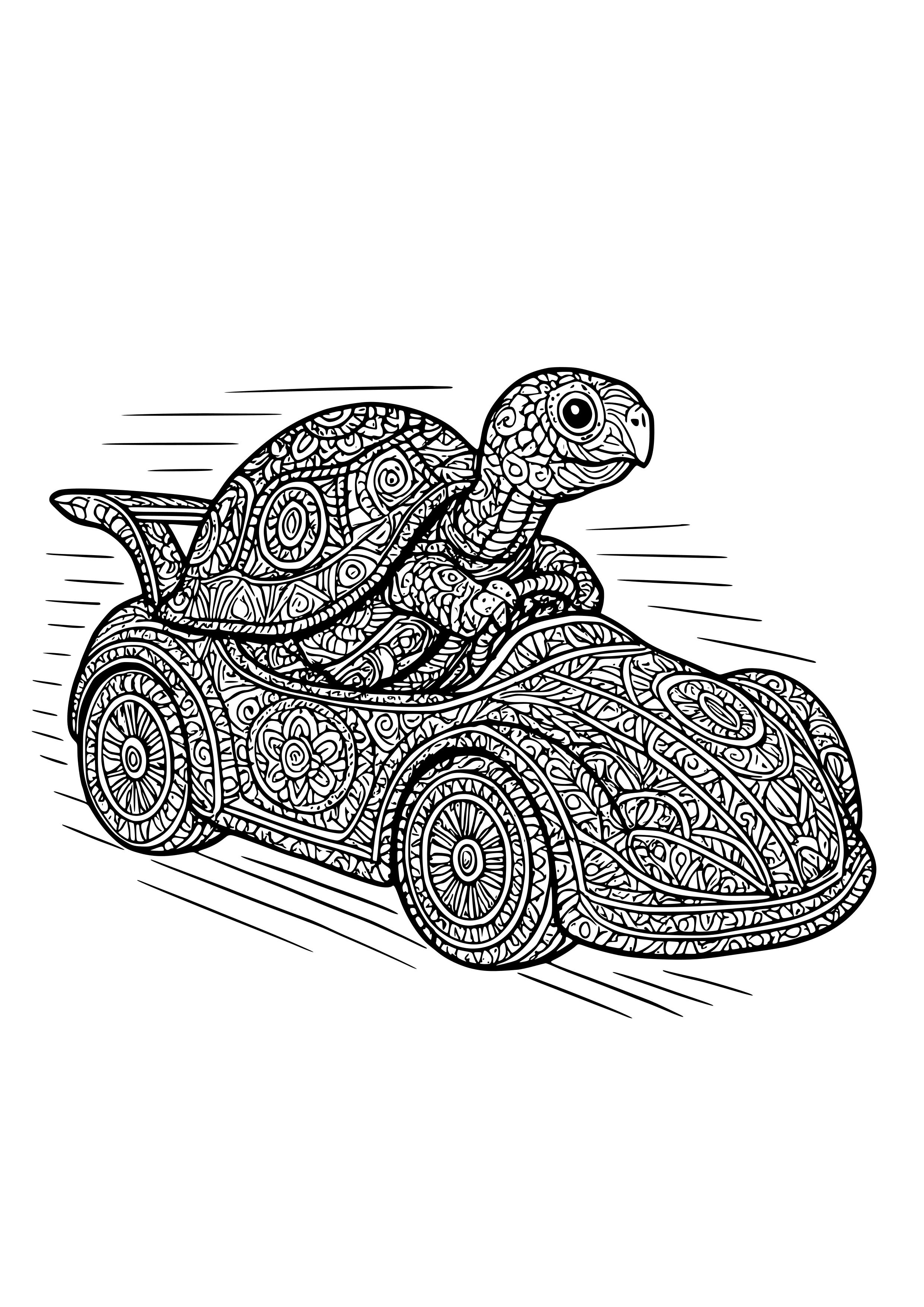 Tortoise in a Racecar Zooming Past Coloring Page