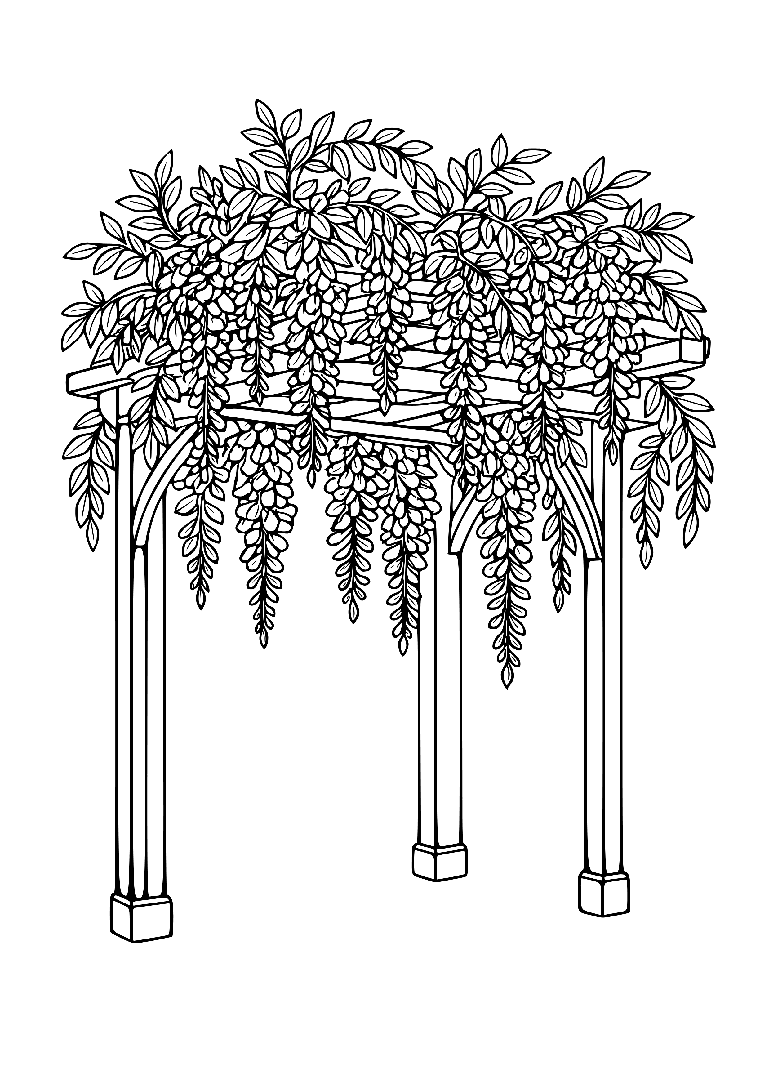 Wisteria Draping From a Pergola Coloring Page