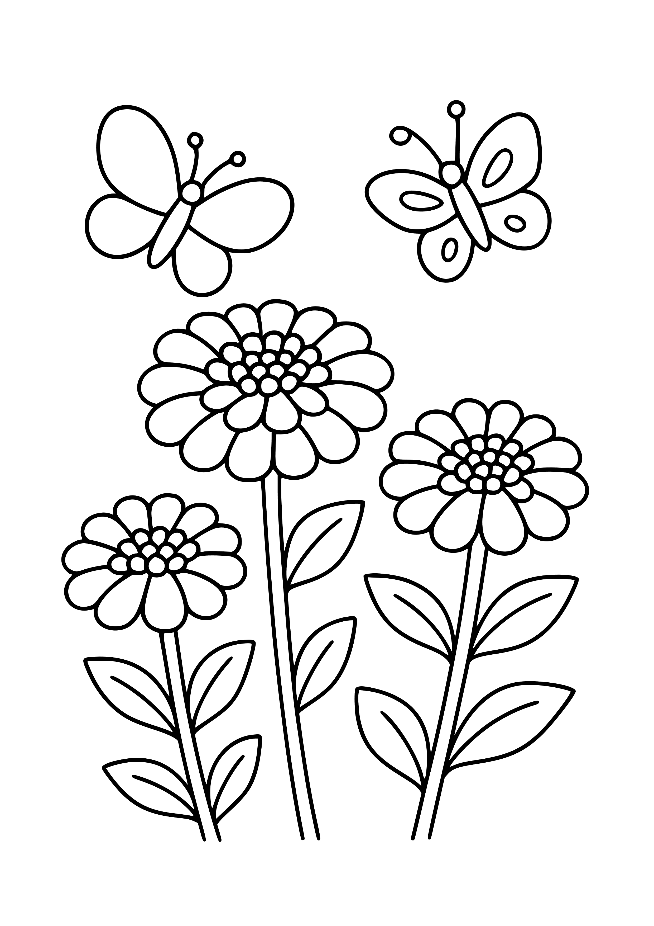 Zinnia Garden with Butterflies Coloring Page